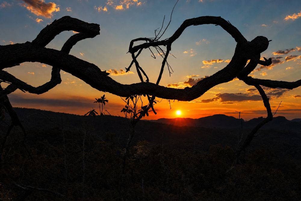 Pôr do sol no cerrado da Chapada das Mesas