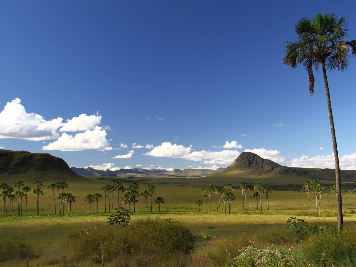 Paisagem da Chapada dos Veadeiros