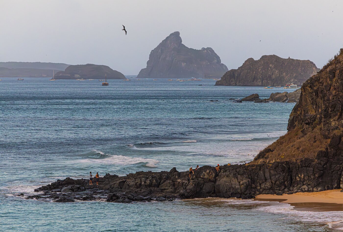 Aves marinhas sobrevoando as forma&ccedil;&otilde;es rochosas de Fernando de Noronha