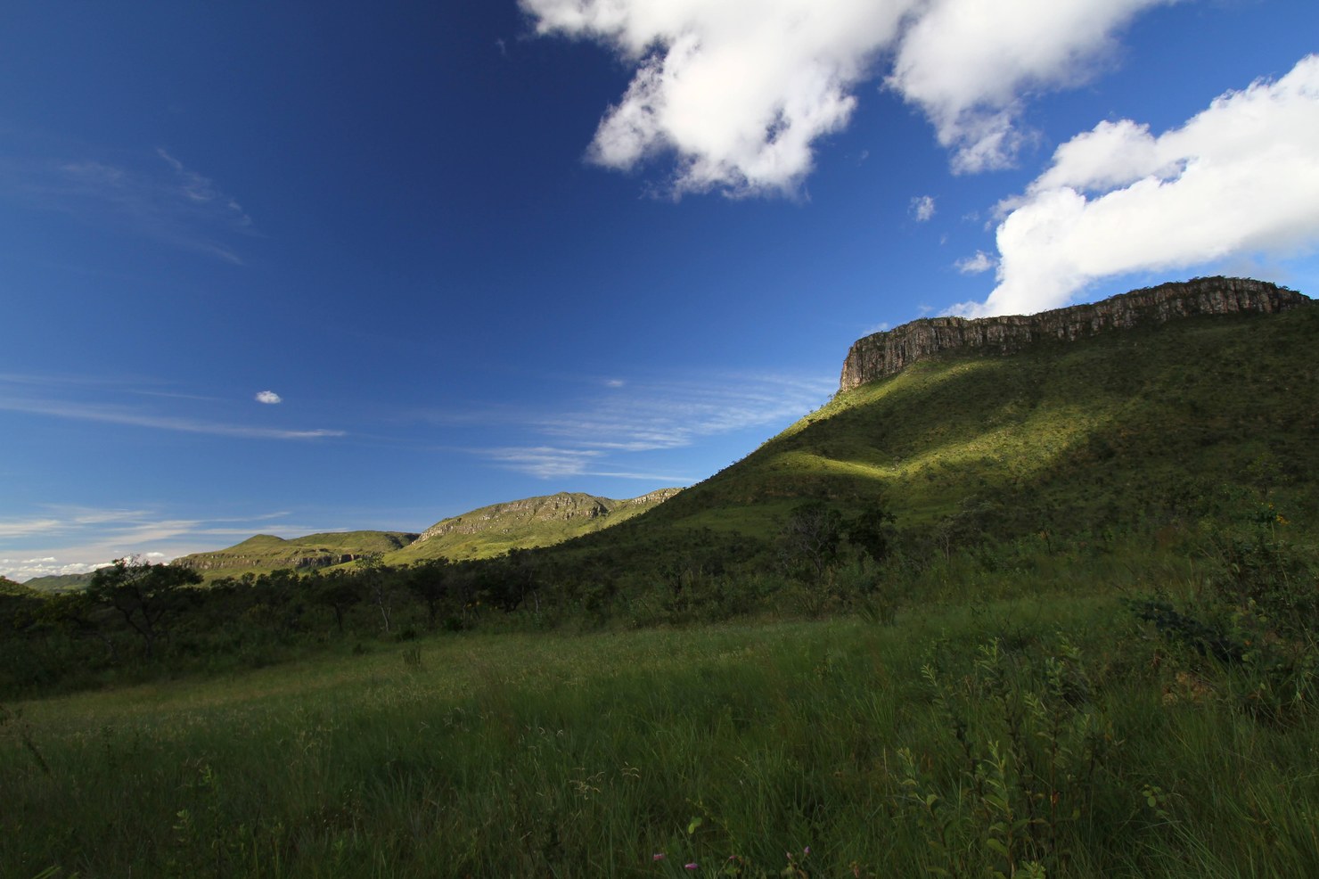 Cerrado de altitude e serras da Chapada dos Veadeiros, em Goiás