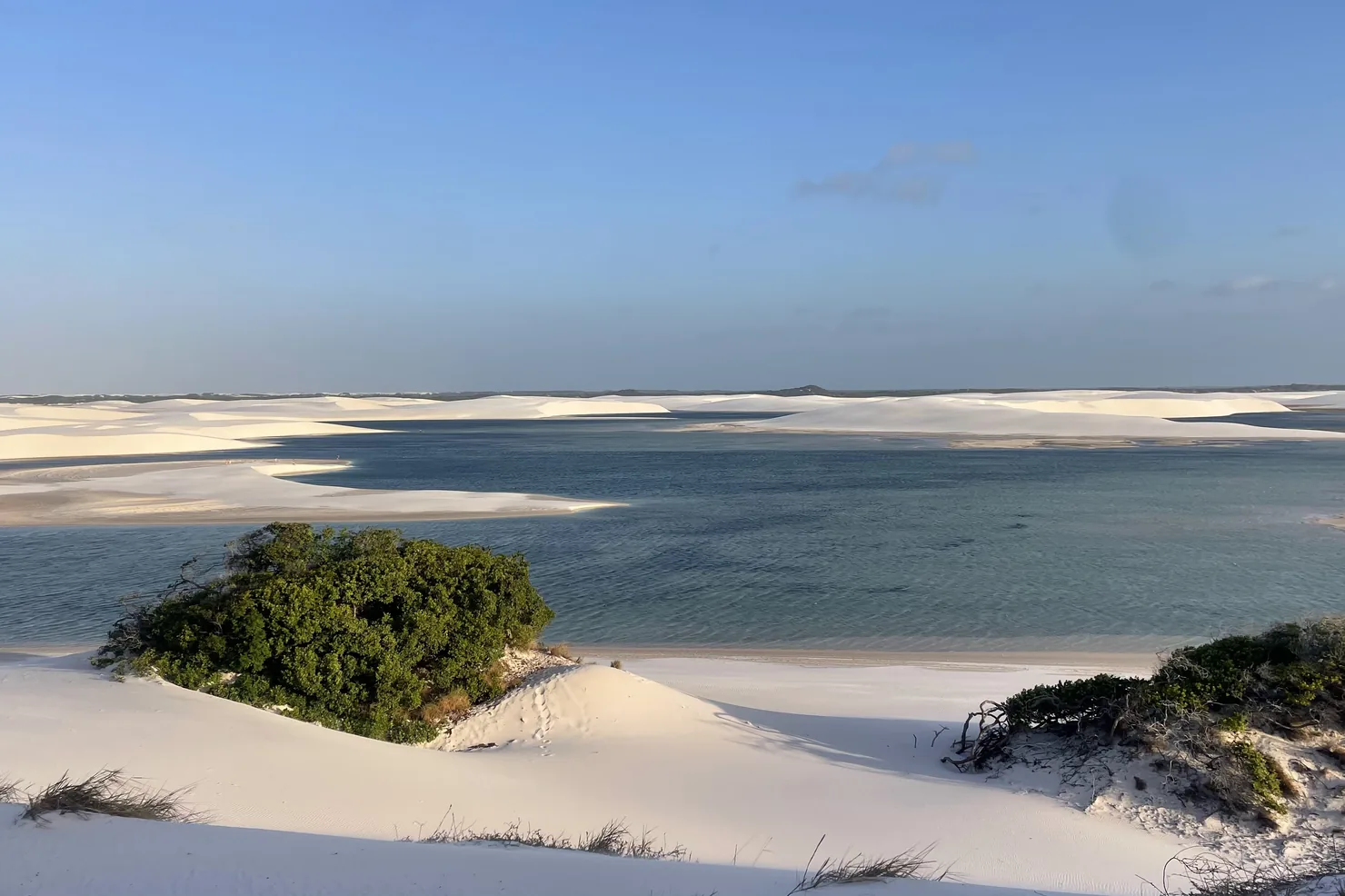Lagoa com ilha de vegetação cercada por dunas brancas nos Lençóis Maranhenses