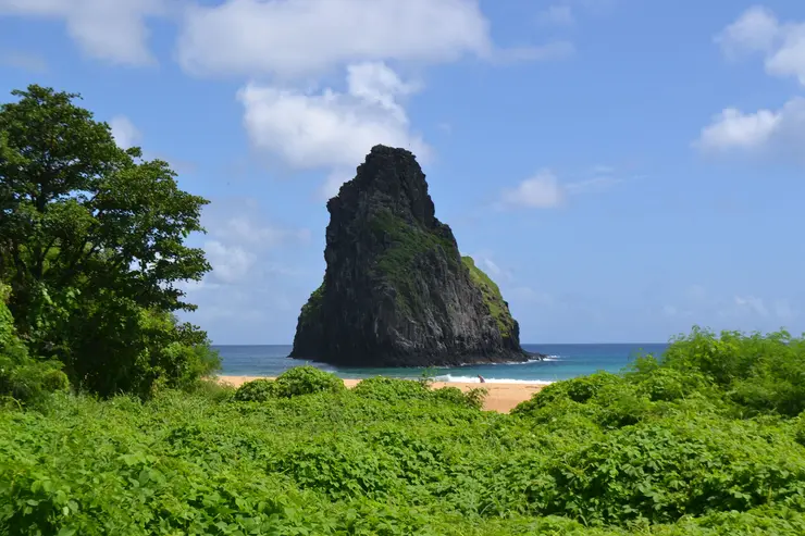 Morro do Pico visto da vegetação em Fernando de Noronha